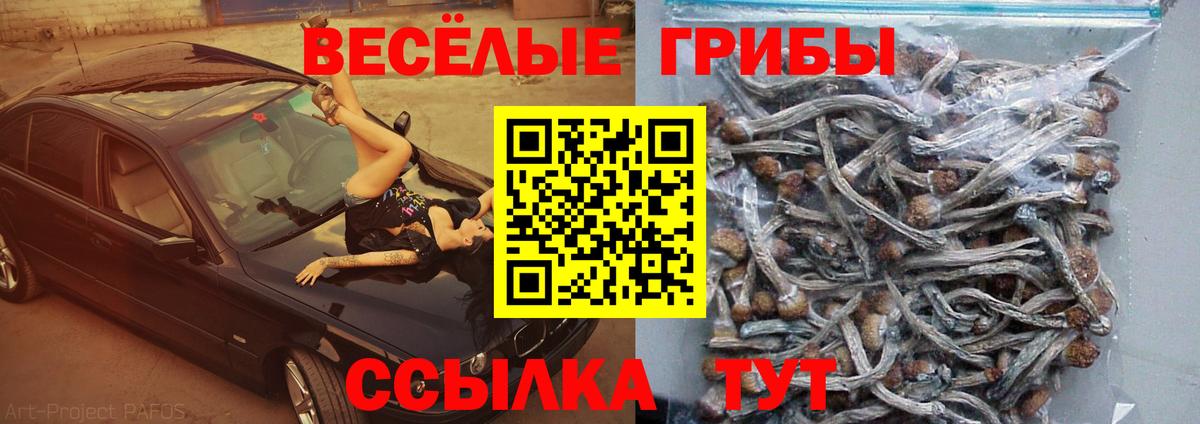 Псилоцибиновые грибы MAGIC MUSHROOMS  Вход с VPN  Лениногорск 